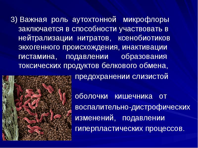 Угнетение образования. Спорные концепции питания. Аутохтонная микрофлора. Аутохтонная микробиота. Аутохтонные микроорганизмы.