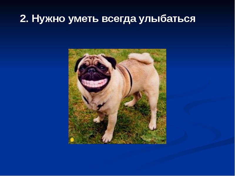 Цитаты просто так. Схема хочу могу надо. Я был молод мне нужны были деньги. Нужно быть 1. Говорят что нужна всего одна минута.