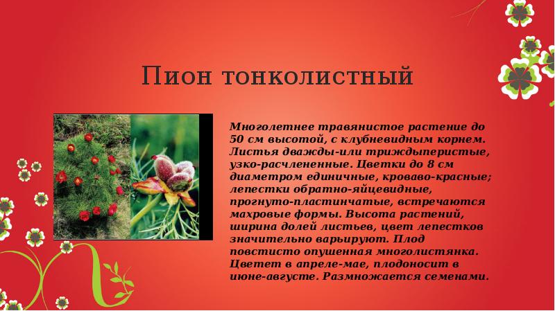 Красная книга донбасса растения описание и фото