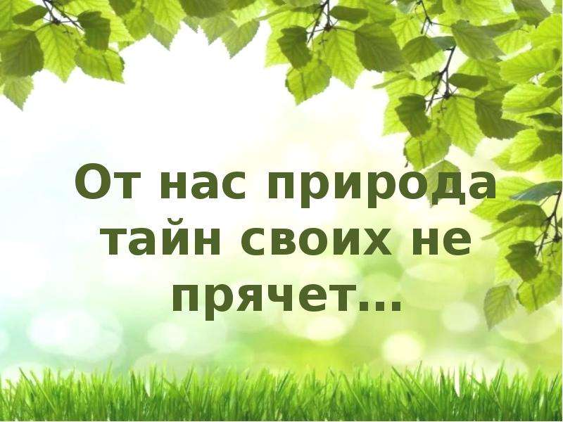 Природы тайны раскрываем. От нас природа тайн своих не прячет. От нас природа тайн своих не прячет мероприятие. От нас природа тайн своих не прячет презентация. «От нас природа тайн своих не прячет» игра.