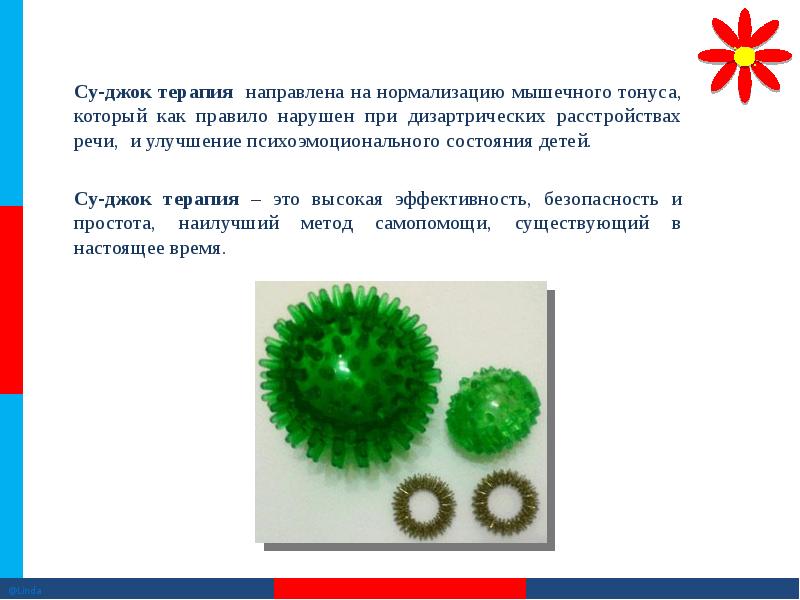 Су джок терапия презентация