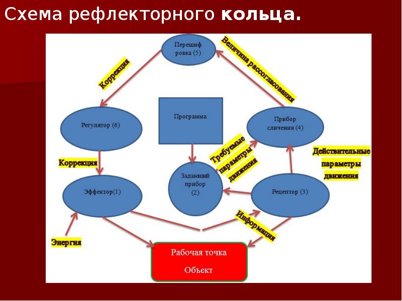 Схема рефлекторного кольца