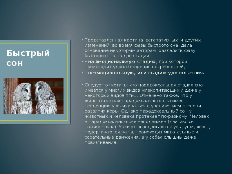 Что собой представляет сон татьяны расшифруйте. Презентация по теме сон физиология. Физиология сна животных. 2 Стадии Модерна. Картина вегетативные изменения при медленном и быстром сне.