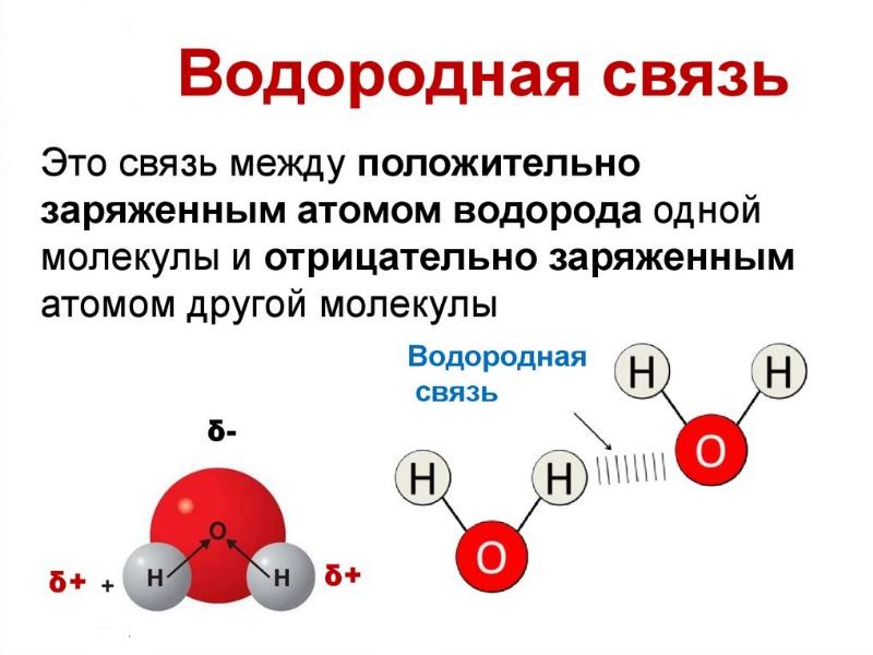 Строение вещества химия. Доменное строение вещества. Электронное строение вещества. Камышев строение вещества. Бутиков строение вещества.