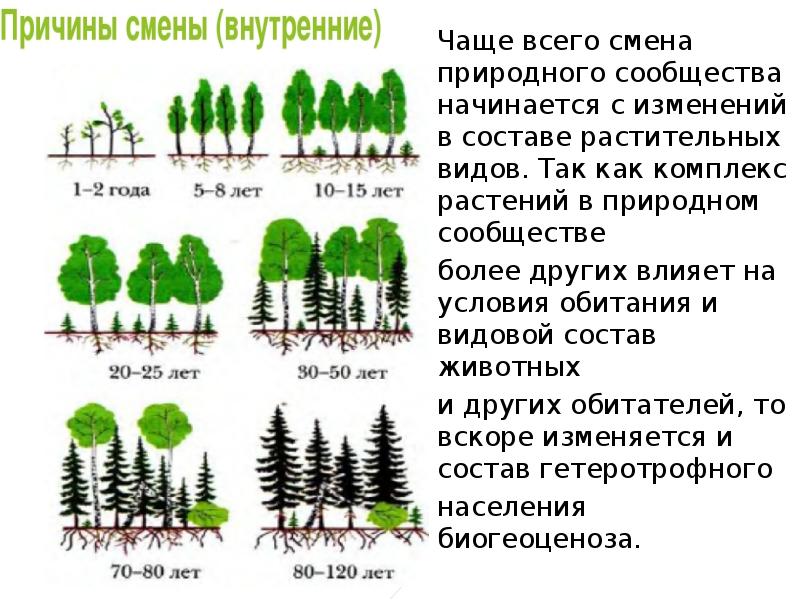 Причины смены природных