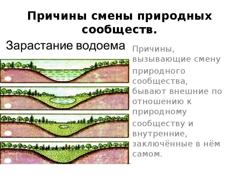 Почему происходит смена природных зон