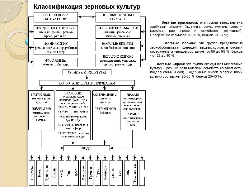 Схему классификации примесей в партиях зерна продовольственного кормового и технического назначения