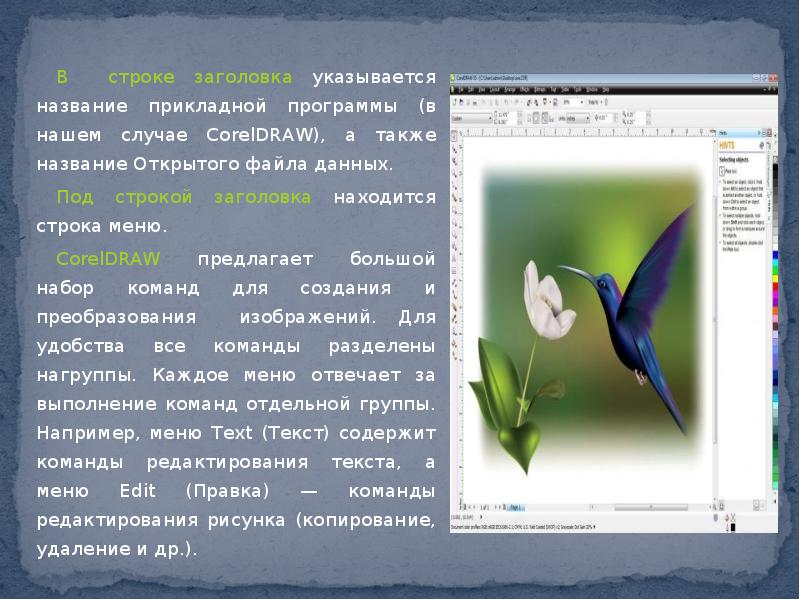 Что из перечисленного является прикладным приложением для создания презентаций