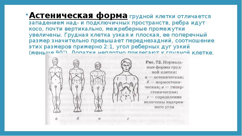 Формы грудной клетки