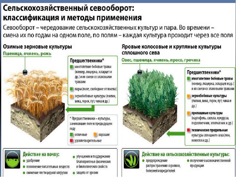 Классификация севооборотов презентация