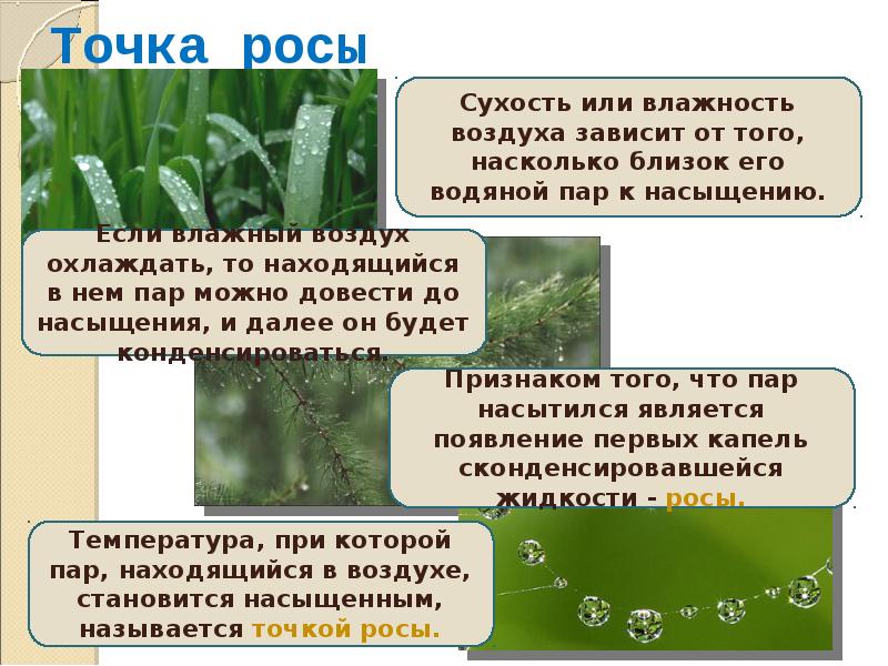 Почему при высокой влажности в жаркий день. Точка росы. Влажность воздуха зависит. Точка росы насыщенный пар. Насыщенный пар точка росы влажность.