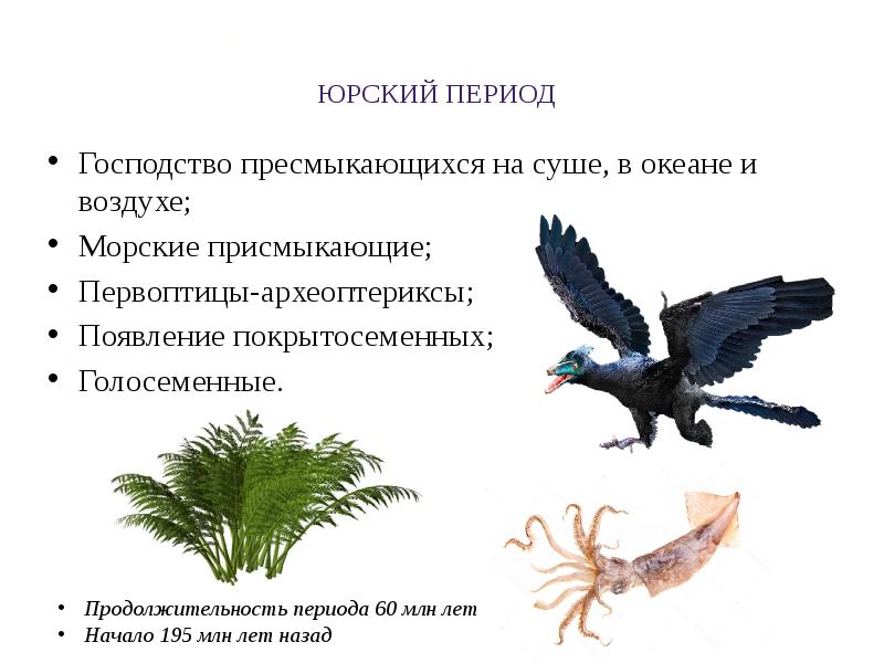 Археоптерикс признаки каких классов. Археоптерикс и пресмыкающиеся. Археоптерикс Эволюция птиц. Археоптерикс переходная форма между пресмыкающимися и птицами. Господство пресмыкающихся Эра и период.