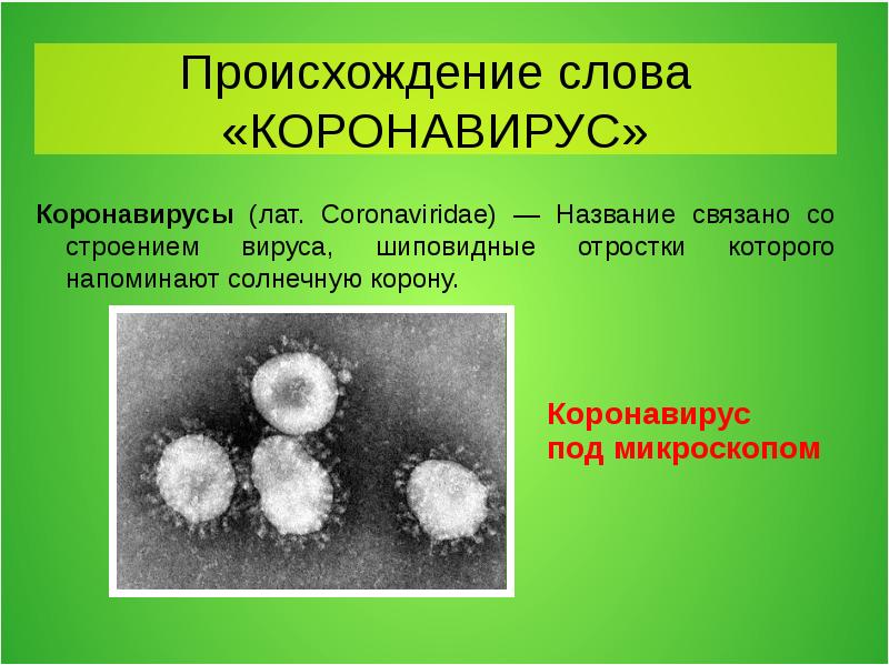 Презентация про коронавирус для школьников