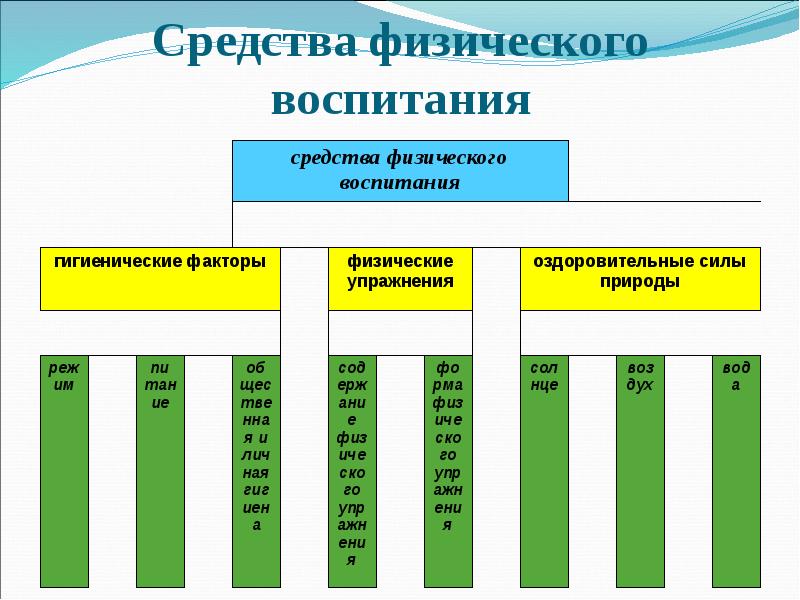 Физические упражнения естественные факторы природы гигиенические факторы