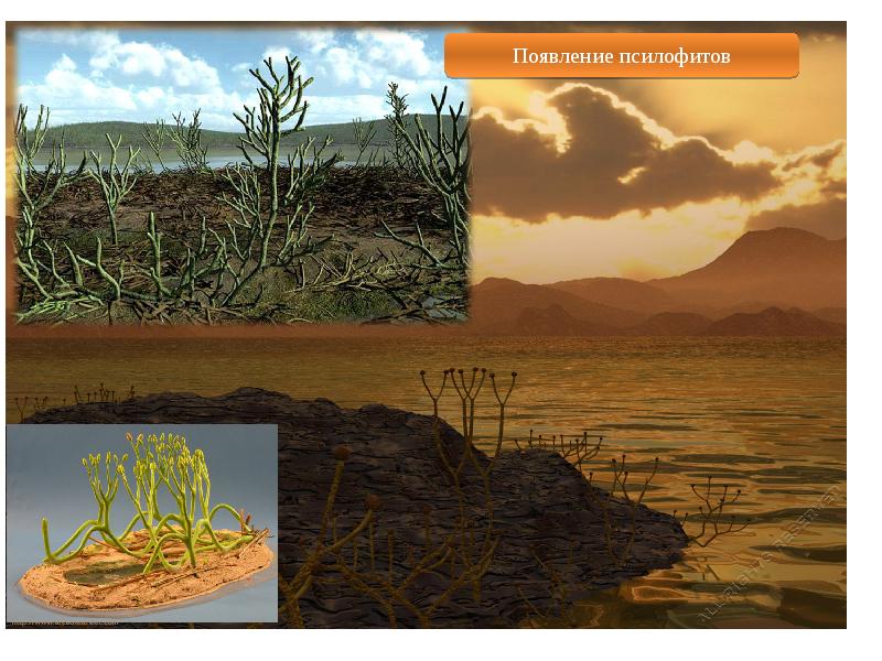 На рисунке изображены псилофиты вымершие растения используя фрагмент геохронологической