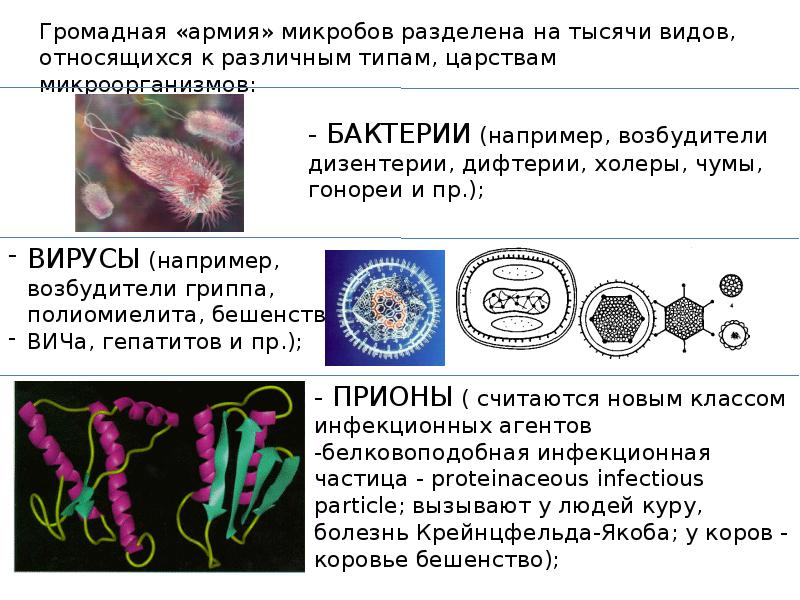 Какими способами можно задержать развитие микробов. Микробиология презентация. темы для презентации по микробиологии. развитие бактерий. представители микробиологии.