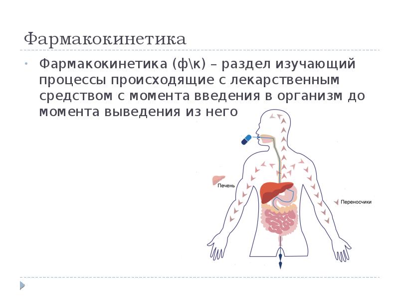 Фармакокинетика