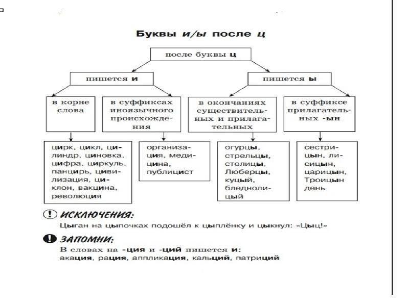 Орфография 1. Зачем нужны орфографические правила в русском языке. Орфография.