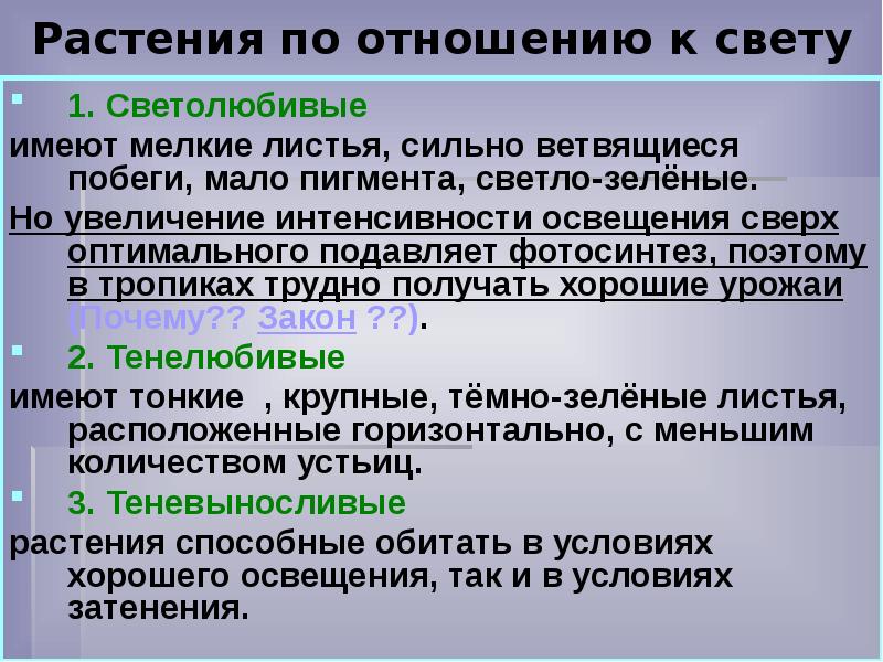 Приспособление растений к свету. Растения по отношению к освещенности. Классификация растений по отношению к свету. Растения по отношению к свету. Экологическая группа светолюбивых растений.