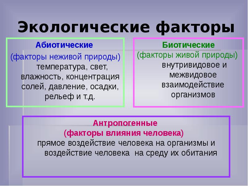 Презентация по биологии 9 класс экологические факторы и их влияние на организмы