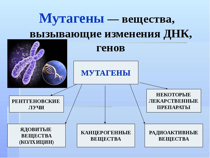 Презентация генотип и здоровье человека 9 класс пасечник