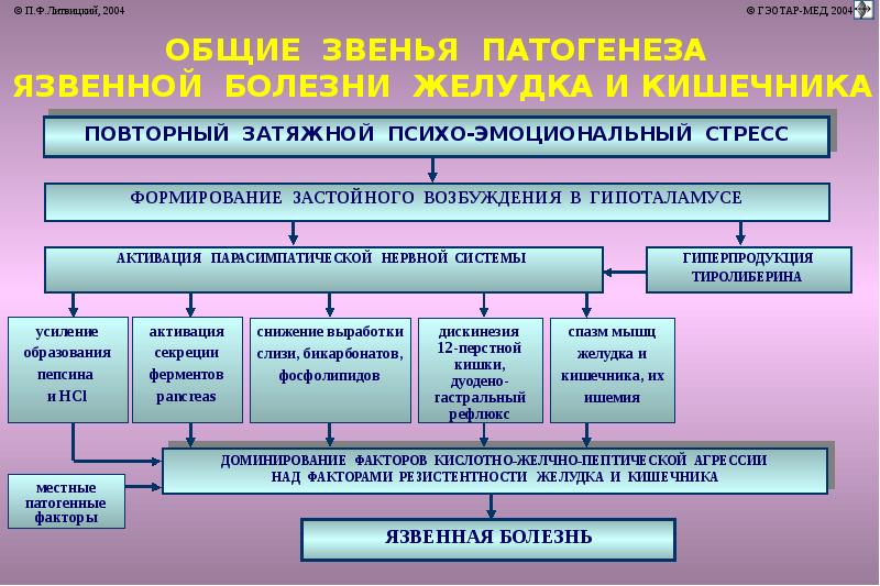 Язвенная болезнь желудка патофизиология презентация