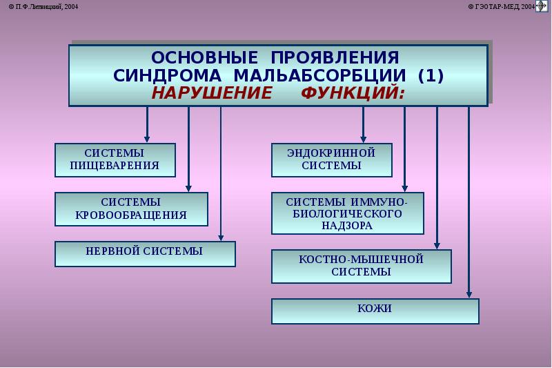 Презентация по патофизиологии