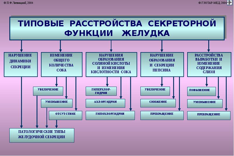 Патофизиология пищеварительной системы презентация