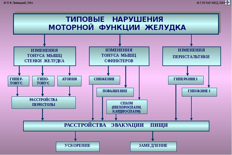 Презентация по патофизиологии