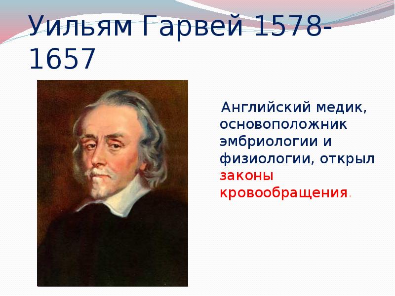 Уильям гарвей. Уильям Гарвей открытие кровообращения. Уильям Гарвей (1578-1657). Основоположник физиологии Уильям Гарвей. Уильям Гарвей открытия в биологии.