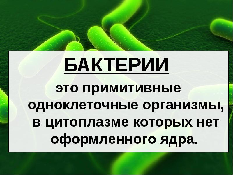 Примитивные организмы. Бактерия. Примитивные бактерии. Презентация по биологии на тему примитивные организмы.