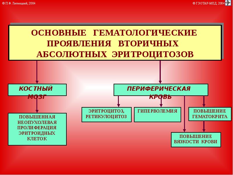 Презентация по патофизиологии