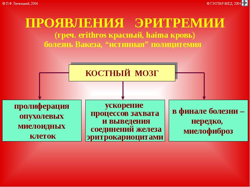 Патофизиология системы крови презентация