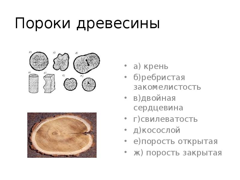 Двойная сердцевина. Пороки древесины. Пороки древесины двойная сердцевина. Крень древесины. Порок древесины двойная сердце вина.