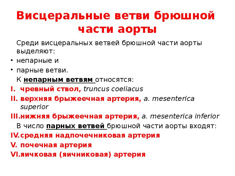 Схема анастомозов непарных ветвей брюшной части аорты