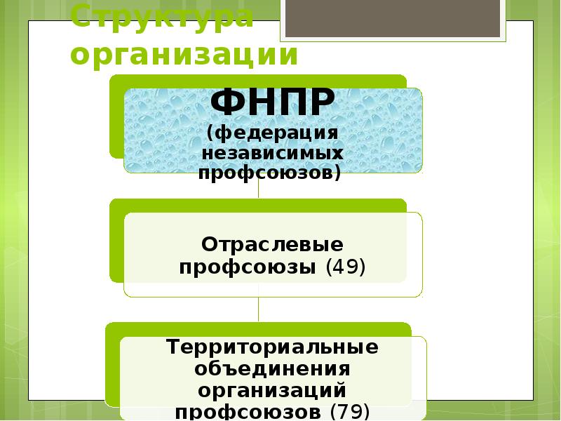 Схема профсоюзной организации структура первичной