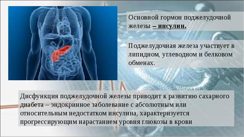 Презентация гормон поджелудочной железы инсулин