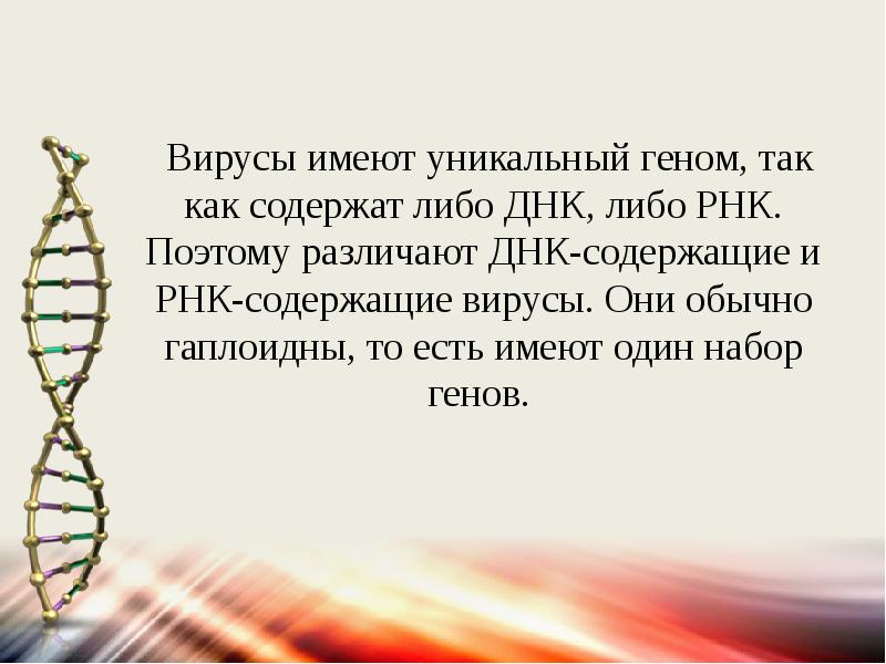 Вирусы имеют днк. Уникальные гены содержатся. Где содержатся уникальные гены.