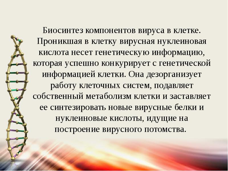 Поразить определенный. Наследственная информация вируса. Наследственная информация об организме. Биосинтез вирусных компонентов в клетке. Способность вируса избирательно поражать клетки и ткани.