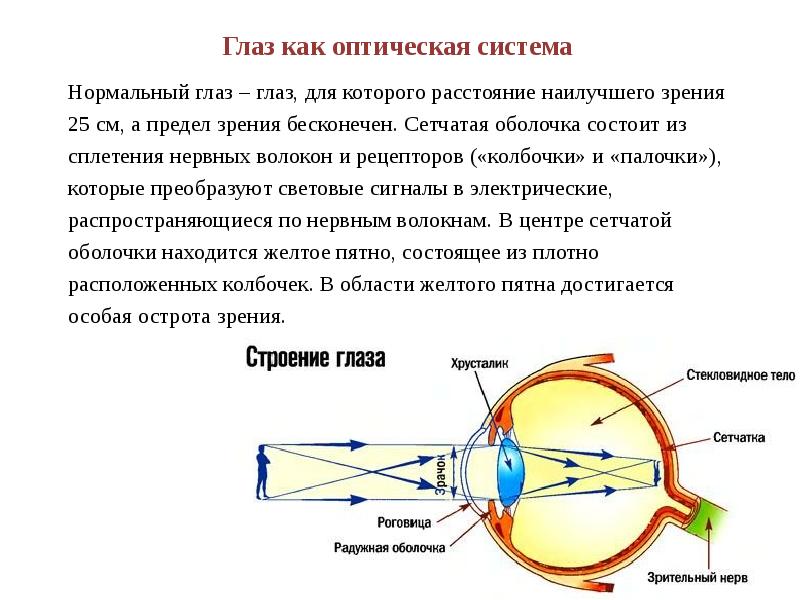 Оптическая система глаза проект