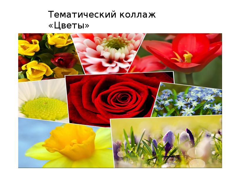 Коллаж презентация для 5 класса