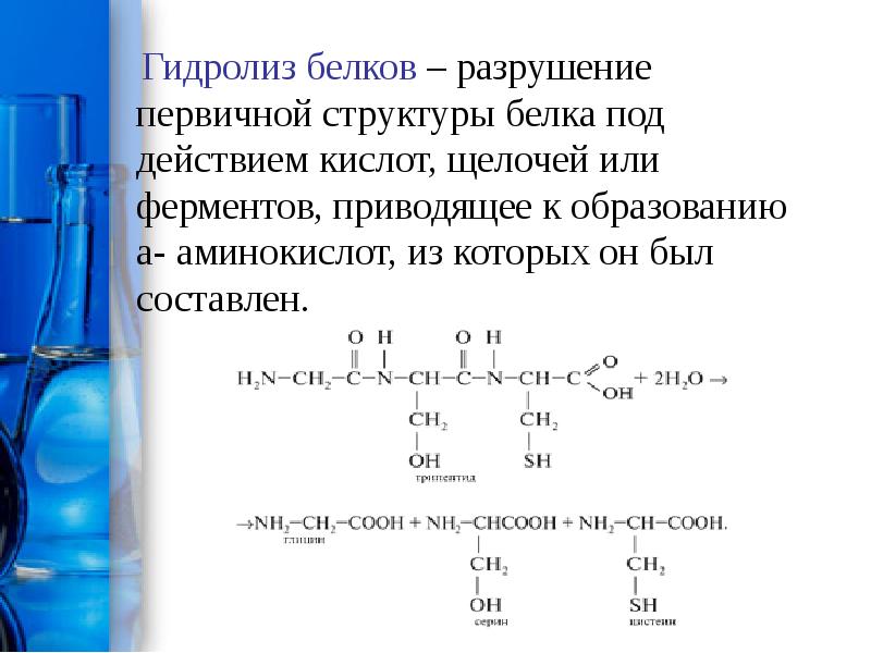 Какие продукты образуются при гидролизе белков приведите схему гидролиза белка