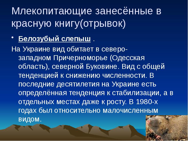 Виды млекопитающих занесенных в красную книгу. Виды млекопитающих занесенных в красную книгу