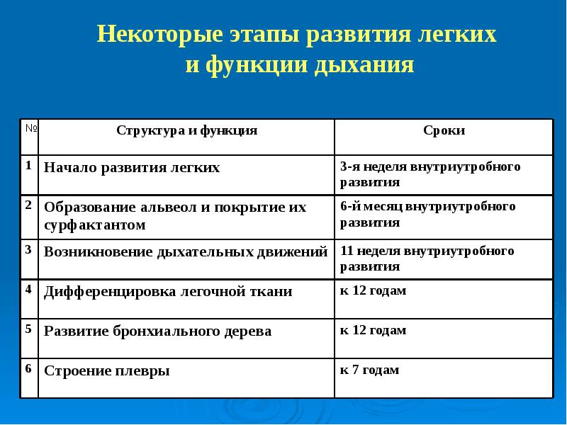 Возрастные особенности органов дыхания презентация