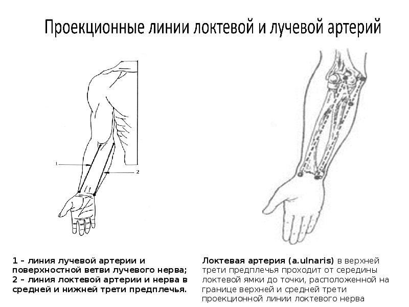 Оперативная хирургия нижней конечности презентация