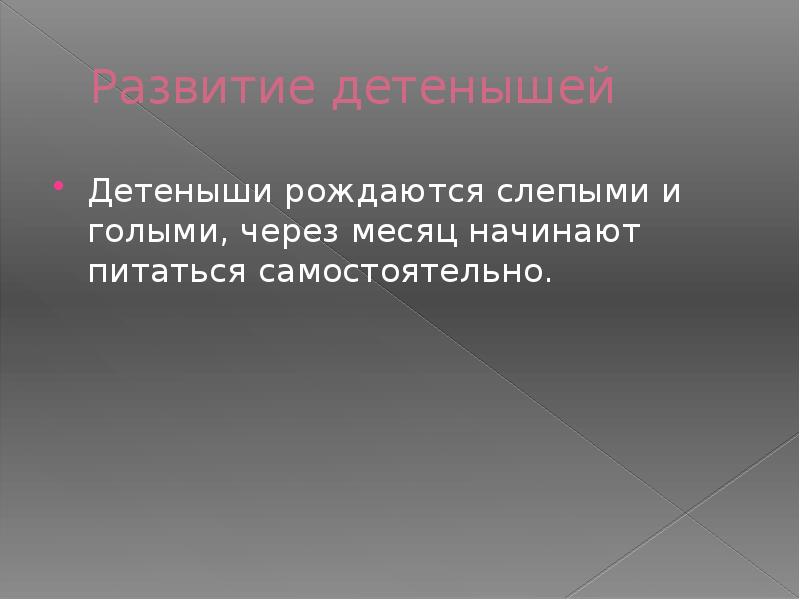 Развитие детенышей
Детеныши рождаются слепыми и голыми, через месяц начинают питаться Развитие детенышей
Детеныши рождаются слепыми и голыми, через месяц начинают питаться