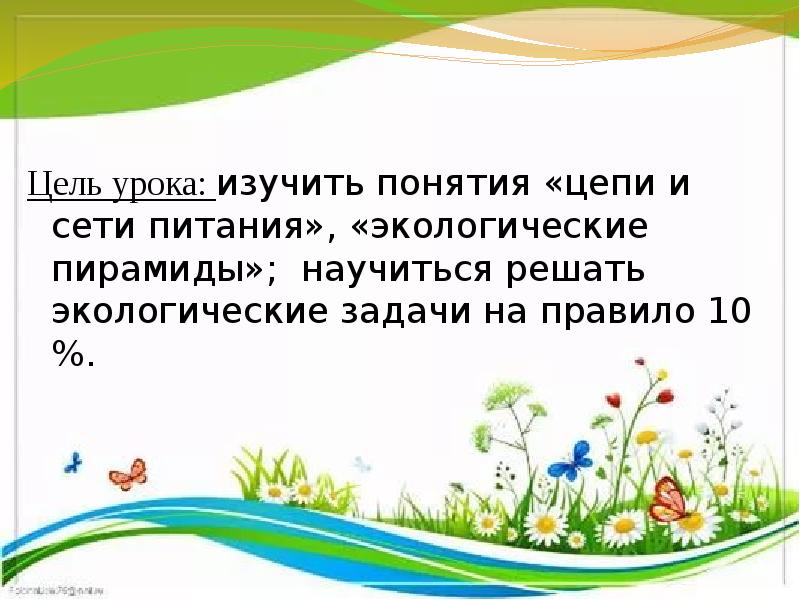 Среда решения задач. Экологическая задача на лугу. Урок №143. Сеть, питающаяся вашими детьми.