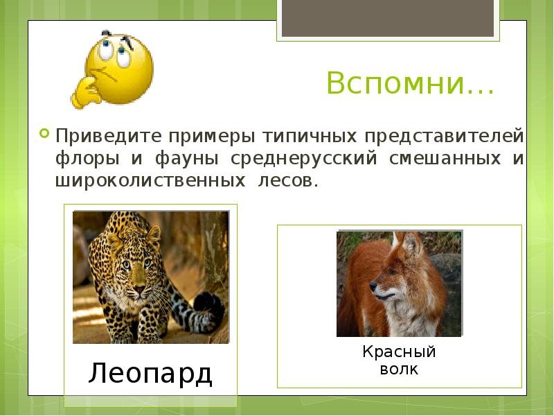 Объясните причины видового богатства смешанных и широколиственных. Объясните причины видового богатства смешанных и широколиственных