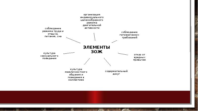 Проект для студентов презентация