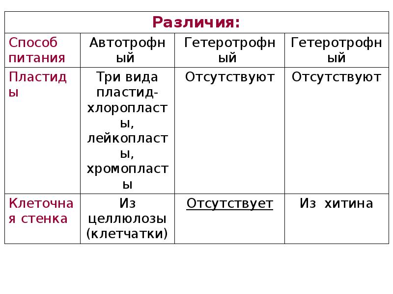 Сходство клеток автотрофных и гетеротрофных организмов